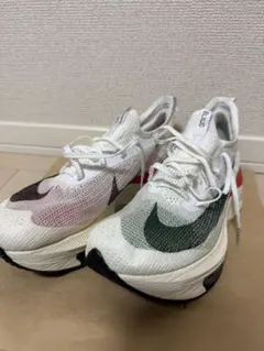 [TAKA様]アルファフライ　キプチョゲカラー　26.0