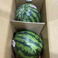 西瓜 特大2玉入り 甘くて美味しい 19〜20Kg - メルカリ