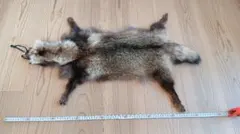美品】Tomotake トモタケ 動物クッション ツキノワグマ 泥染め - メルカリ