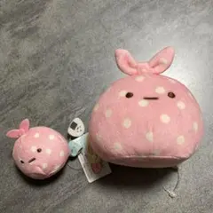 Item thumbnail for item c6006330-b649-4ea9-8d0f-cd2810eb9df8