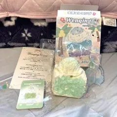 文清WENQINGSTRONG スクイーズ スラッシュライムの輝き