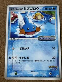 ポケパークのミズゴロウ 048/PCG-P プロモ　スプラッシュアドベンチャー