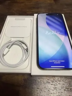 Apple iPhone 15Pro 256GB SIMフリー 美品 付属品あり