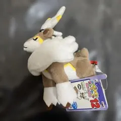2026年最新】ぬいぐるみ my ポケモン コレクションの人気アイテム