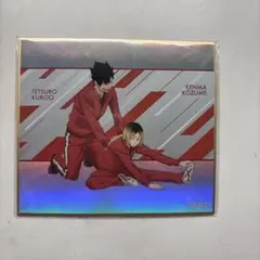 ハイキュー 黒尾鉄朗 孤爪研磨 ミニ色紙