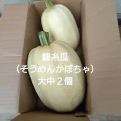 錦糸瓜　大中サイズ２個　そうめんかぼちゃのサムネイル