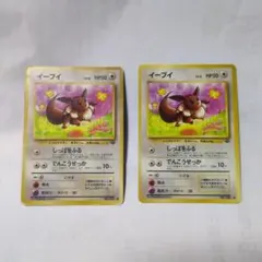 イーブイ ○ 第2弾拡張パック ポケモンジャングル ① - メルカリ