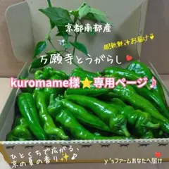 kuromame様⭐️専用ページです♪のサムネイル