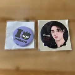 treasureハルト　缶バッジ 2点セット