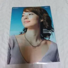 ANA スカイホリデー　クリアファイル