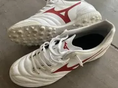 Item thumbnail for item 5be27294-2c2a-4bff-93c9-6d5e3be7c2f7