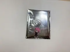 NightX-騎士X てるとくん オーロラチャーム