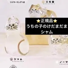 ⭐️正規品⭐️ うちの子のけだまだま　シャム