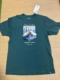 MILLET CERVINO グリーン Tシャツ
