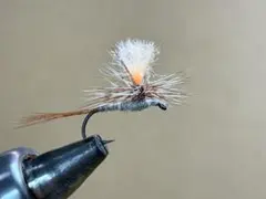 Item thumbnail for item d2020f55-7e7a-4677-b34f-03b0f701b382