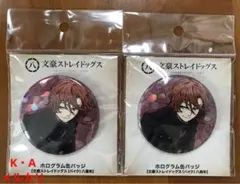 中原中也 バイクの日 缶バッジ 30個 中原中也 バイクの日 缶バッジ 30個 中原中也 バイクの日