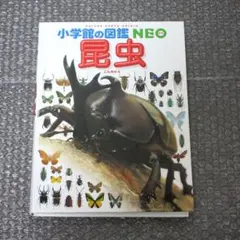 小学館の図鑑NEO昆虫 （カバーなし）