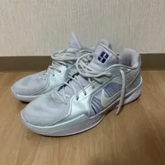 Sabrina2 EP NIKE サブリナ2 ナイキ バッシュ 30cm