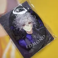 巌窟王 エドモン FGO STAR影法師 10周年記念 缶バッジ - メルカリ