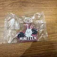 SEVENTEEN miniteen ガチャ めじるしアクセサリー エスクプス