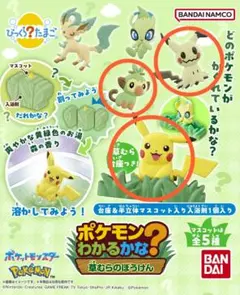 b㉞. びっくらたまご　ポケモンわかるかな？　草むらのぼうけん　3種セット