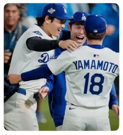 ❣️みかん様❣️商談中専用　2025WS連覇