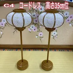 Item thumbnail for item 91f9d07a-c59b-4a21-ae48-9e8bf89d18b4