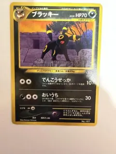 美品※ブラッキー プロモ プレミアムファイル 旧裏（管理用2378
