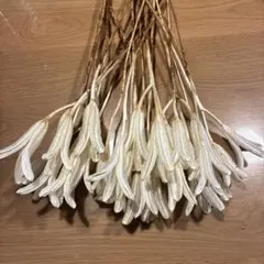 ホワイト加工♦️ユリのドライ★