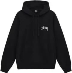 Stussy ステューシー パーカー ワールドツアー フーディ XL 男女兼用