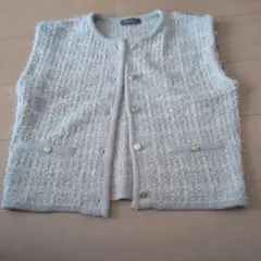 A day in the life ツイードベスト