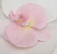 Item thumbnail for item 2f197e7d-98a4-42a2-928b-613de5554fea