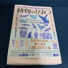 Item thumbnail for item c3b1b284-91be-4167-8f59-af1bba7cb6f8