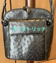 Marc Jacobs（AI）オーストリッチポシェット ショルダーバック微光沢のサムネイル