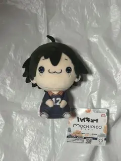 新品未使用 山口忠 ハイキュー‼︎ もちぴこぬいぐるみ③５