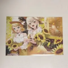 プロセカ　クリエイターズフェスタ　ポストカード　ビビバス　こはね　鏡音リン