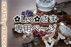 ✿Leo✿さま専用ページ