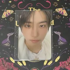 スキズ ペンミ オンライン特典 トレカ ハン