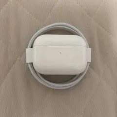 AirPods Pro ケース 充電ケーブル付き(イヤホンなし)