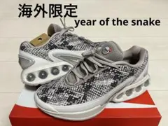 専用　海外限定 NIKE AIR MAX Dn SNAKE SKIN 27.5