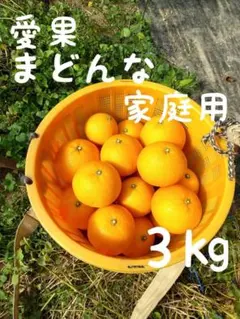 323愛果 まどんな 家庭用 ３kg