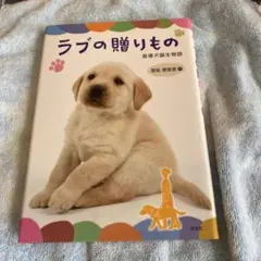 Item thumbnail for item ceaf57ce-4101-4e29-a826-cda62c79e88d