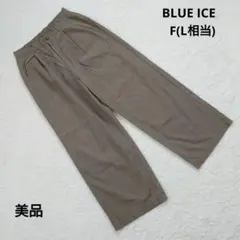 美品 BLUE ICE ブルーアイス カーキ ナイロン カーゴパンツ F