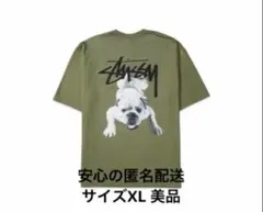 Stussy Stock Dog Tee "Olive"