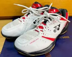 Item thumbnail for item 62813cca-0e91-4d67-93d5-04a368b51034