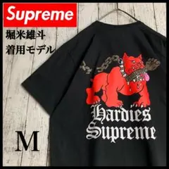 即完売・最高デザイン】シュプリーム☆名作ビッグバックロゴ入りT