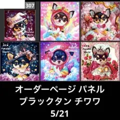 オーダーページ パネル ブラックタン チワワ 5/21