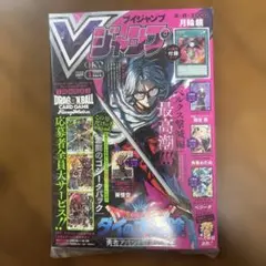 【新品未開封】Vジャンプ5月特大号 全付録付き