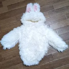 Item thumbnail for item 0c80a2d9-6537-41e8-afb6-98cc07ef9f37