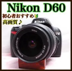 ⭐️初心者向け⭐️ニコン D80 CCD搭載 入門機 一眼レフ ニコン 風景画